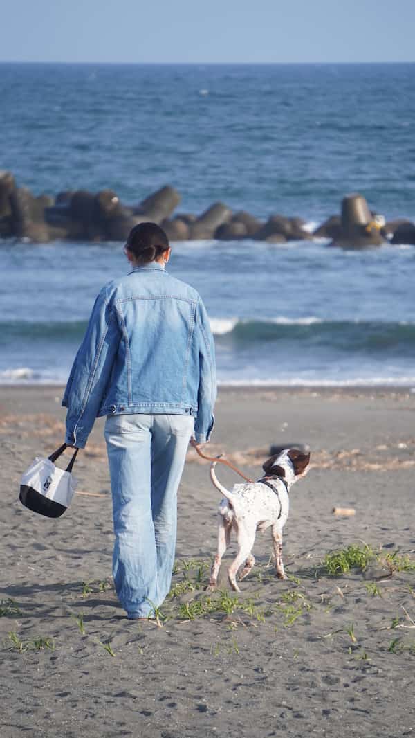 湘南の海辺を並んで歩く飼い主と犬の後ろ姿